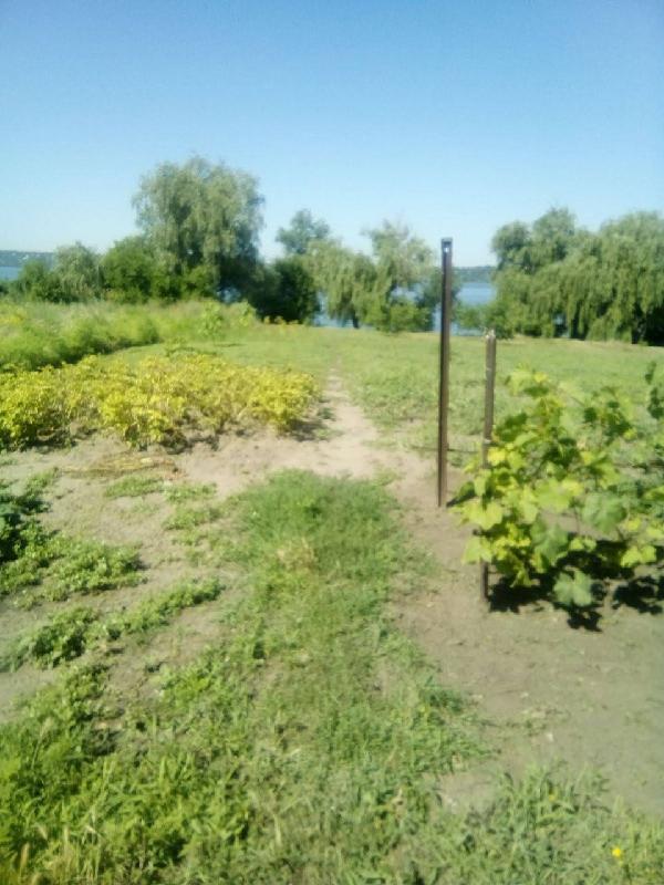 будинок продам місто Дніпро (Дніпропетровськ), фото 5 з 6