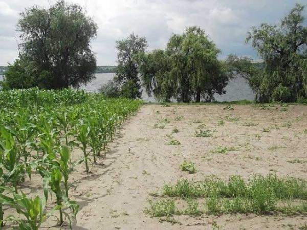 будинок продам місто Дніпро (Дніпропетровськ), фото 6 з 6