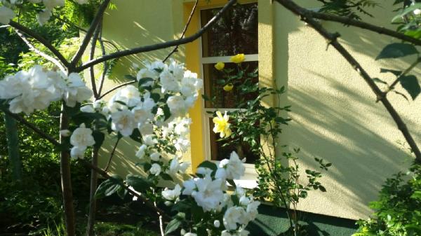 будинок продам місто Львів, фото 4 з 21