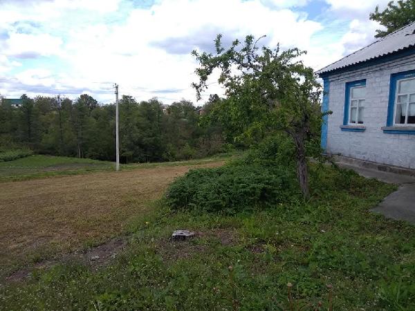 будинок продам смт Стеблів, фото 8 з 8
