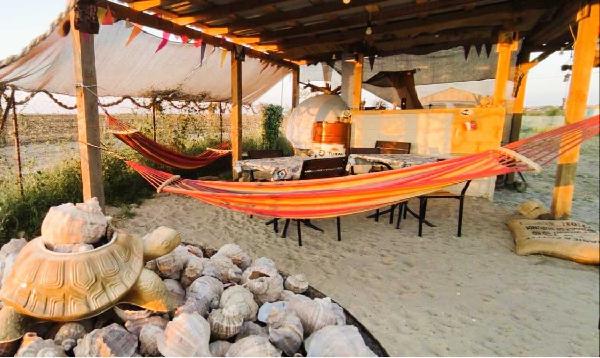 земля продам місто Миколаївка, фото 1 з 6