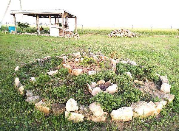 земля продам місто Миколаївка, фото 4 з 6