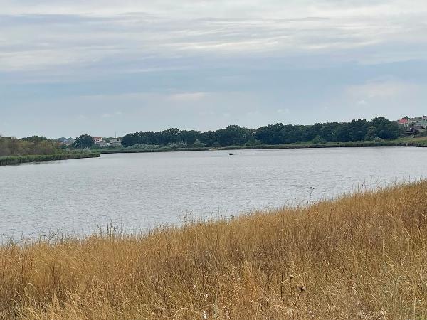 земля продам село Малодолинське, фото 2 з 3