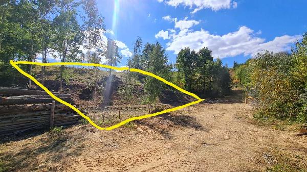 земля продам село Лісники, фото 21 з 24