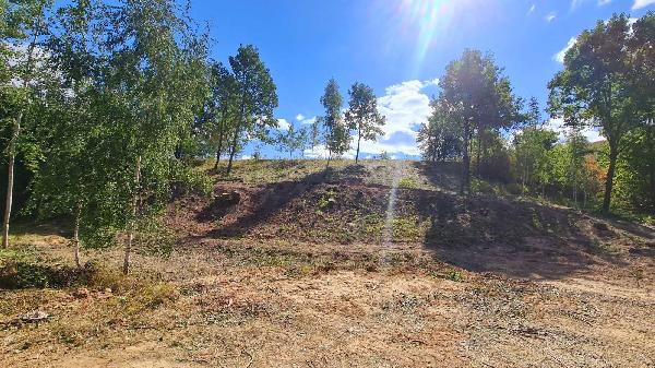 земля продам село Лісники, фото 1 з 24