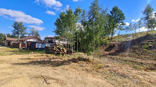 земля продам село Лісники, фото 2 з 24