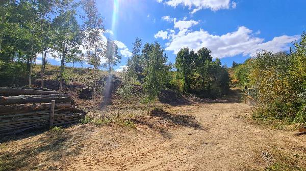 земля продам село Лісники, фото 8 з 24