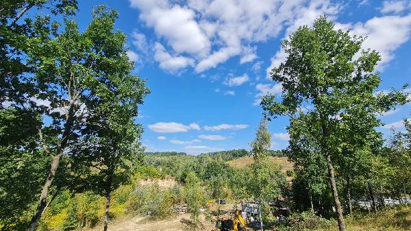 земля продам село Лісники, фото 10 з 24