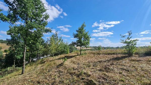 земля продам село Лісники, фото 13 з 24