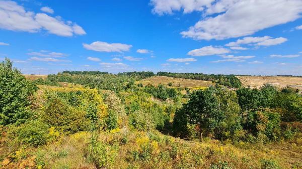 земля продам село Лісники, фото 14 з 24