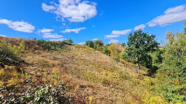 земля продам село Лісники, фото 19 з 24