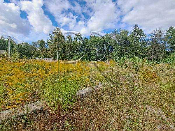 земля продам село Білогородка, фото 5 з 10