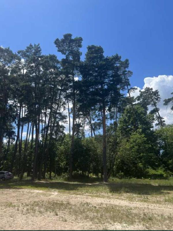 земля продам село Бобриця, фото 1 з 11