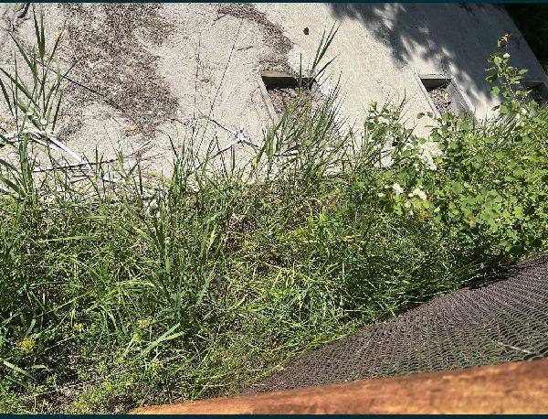 земля продам село Бобриця, фото 4 з 11