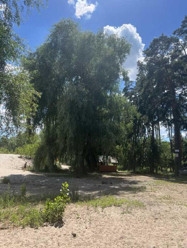 земля продам село Бобриця, фото 10 з 11