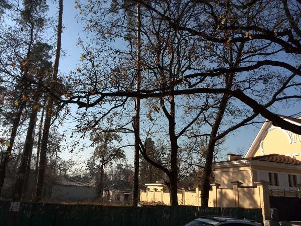 земля продам місто Київ, фото 5 з 6