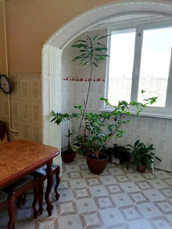 квартира здам довгостроково місто Київ, фото 11 з 19