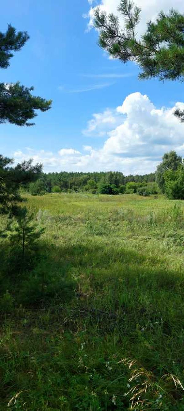 земля продам місто Остер, фото 6 з 7