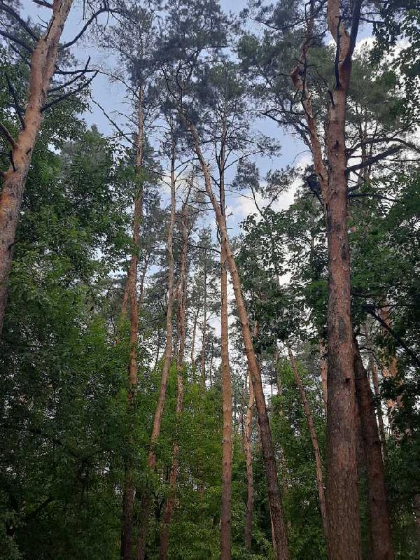 квартира здам довгостроково місто Київ, фото 15 з 16