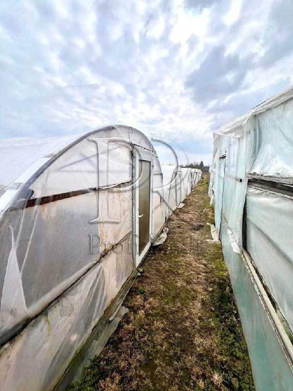 будинок продам село Русанів, фото 12 з 20