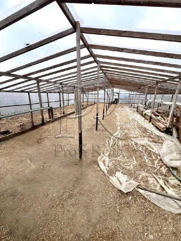 будинок продам село Русанів, фото 14 з 20