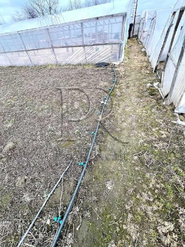 будинок продам село Русанів, фото 16 з 20