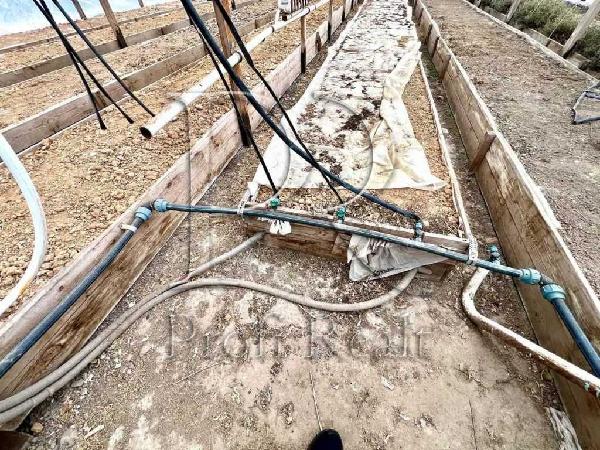 будинок продам село Русанів, фото 17 з 20