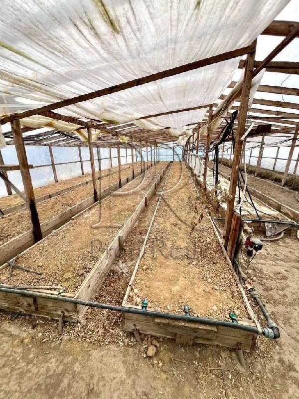будинок продам село Русанів, фото 18 з 20