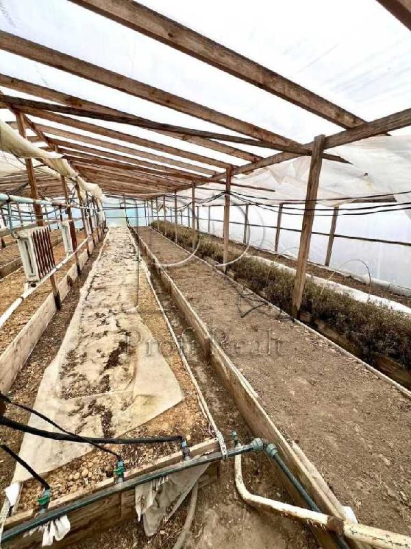 будинок продам село Русанів, фото 20 з 20