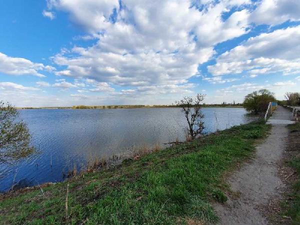 земля продам село Трушки, фото 3 з 6