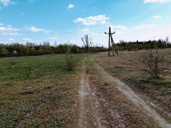 земля продам село Трушки, фото 4 з 6