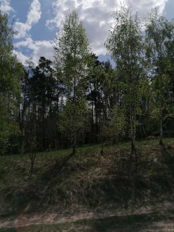 будинок продам село Чернин, фото 1 з 9