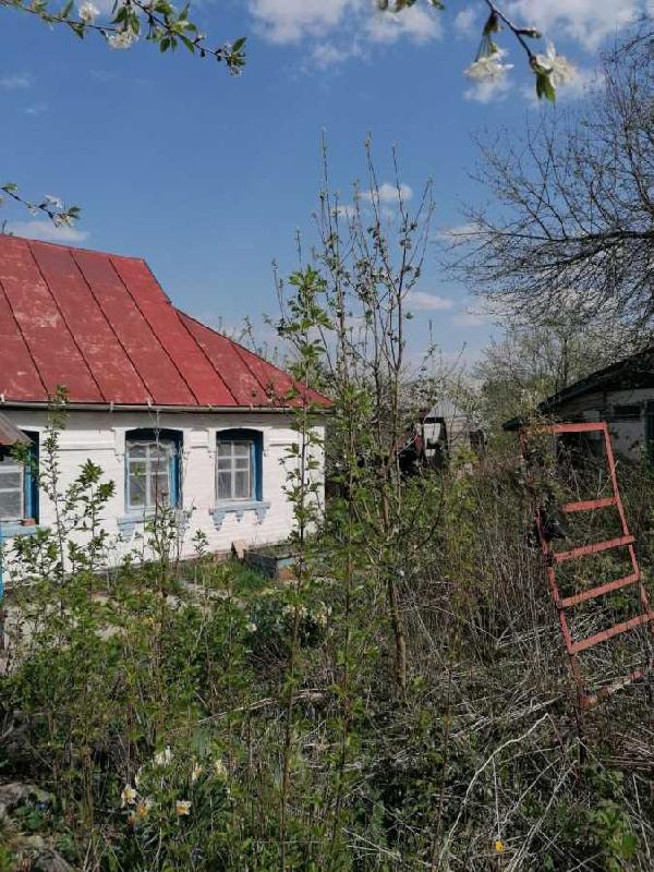 будинок продам село Чернин, фото 3 з 9
