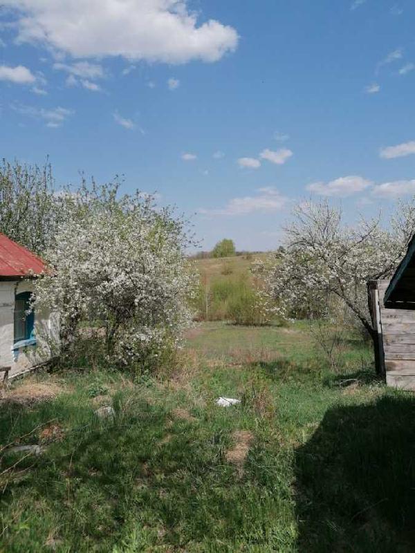 будинок продам село Чернин, фото 4 з 9