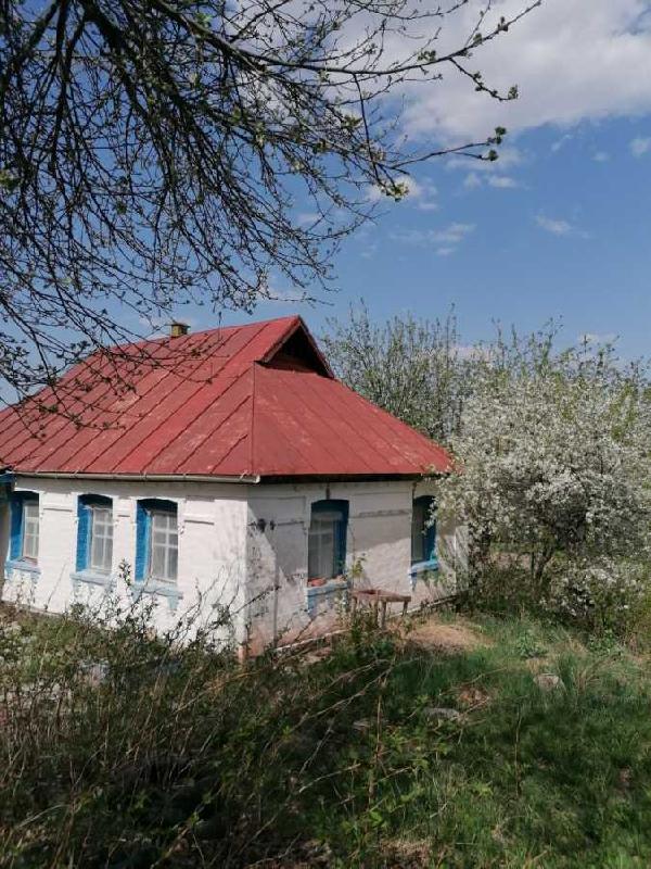 будинок продам село Чернин, фото 5 з 9