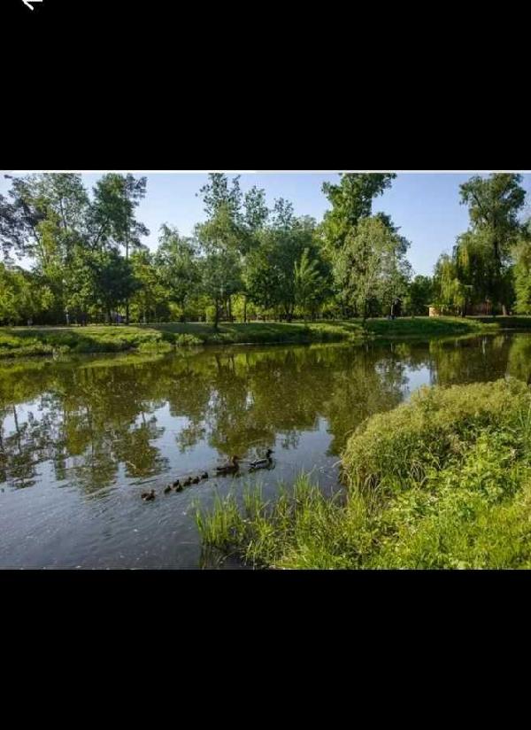 квартира продам місто Київ, фото 15 з 15
