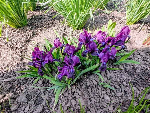 будинок продам село Житні Гори, фото 4 з 13