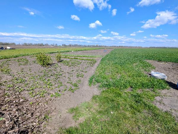 будинок продам село Житні Гори, фото 10 з 13