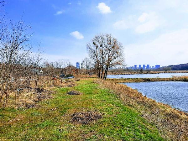 земля продам місто Київ, фото 1 з 23