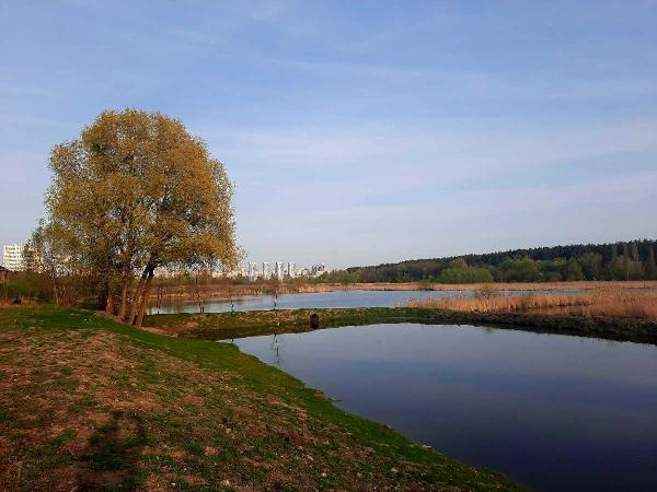 земля продам місто Київ, фото 13 з 23
