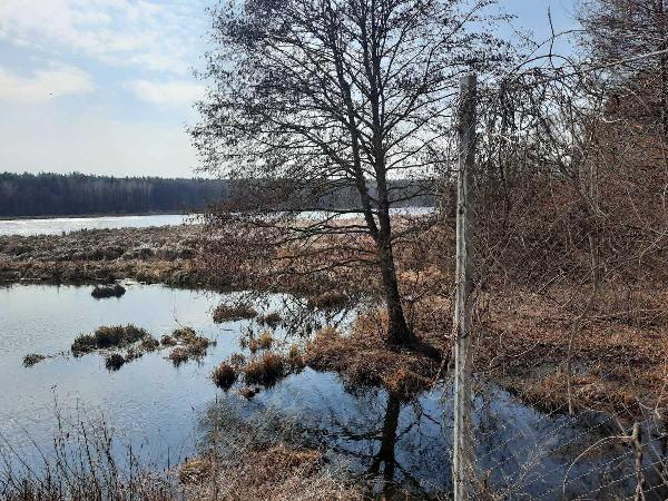 земля продам місто Київ, фото 19 з 23