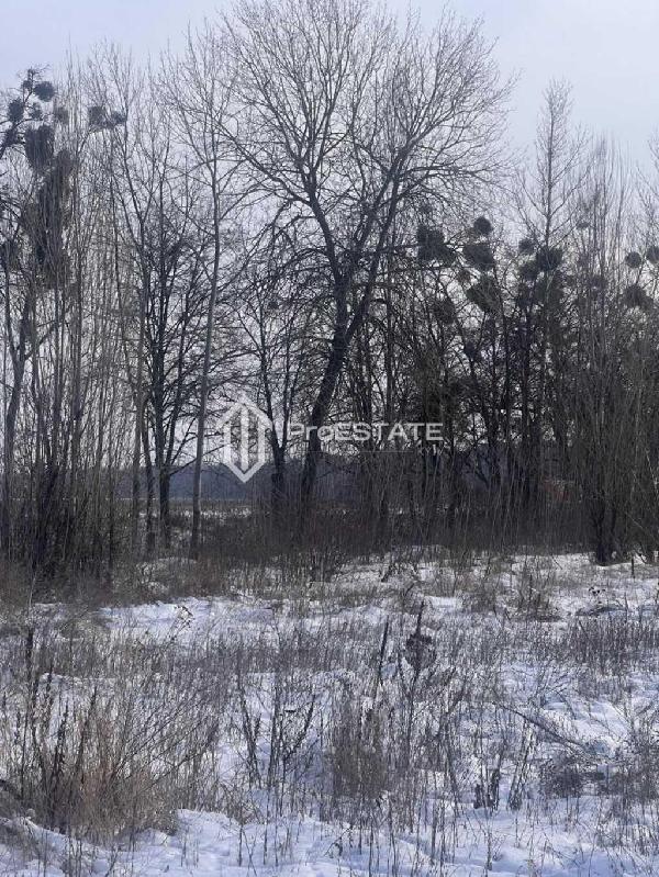 земля продам село Гнідин, фото 3 з 20