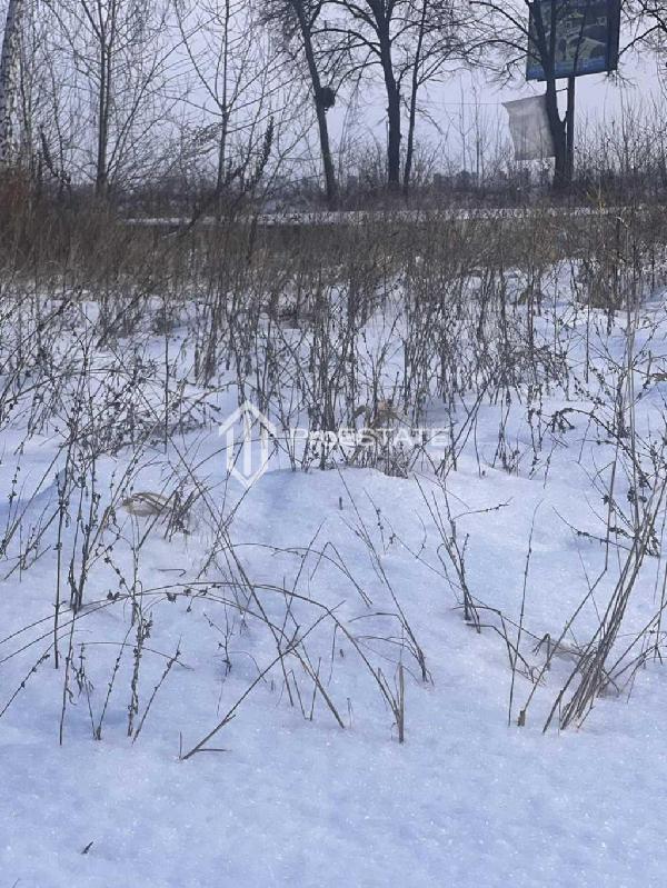 земля продам село Гнідин, фото 5 з 20
