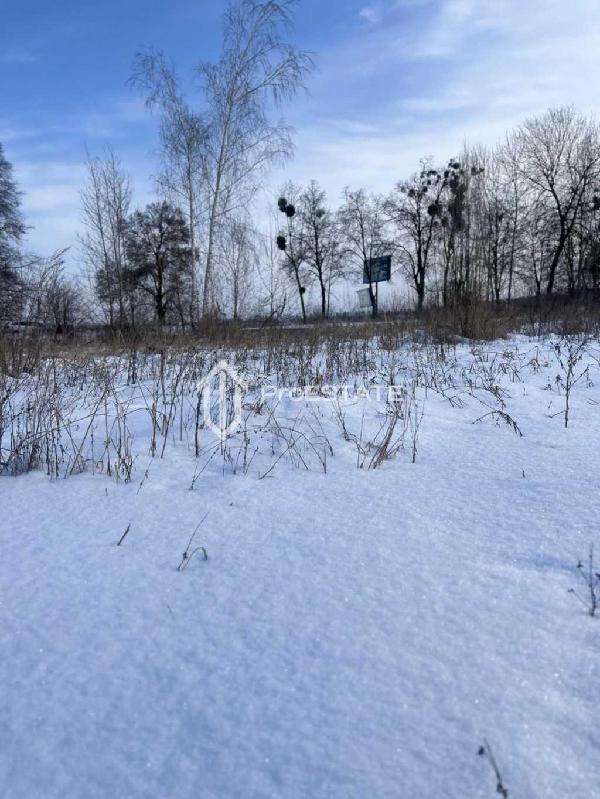 земля продам село Гнідин, фото 7 з 20