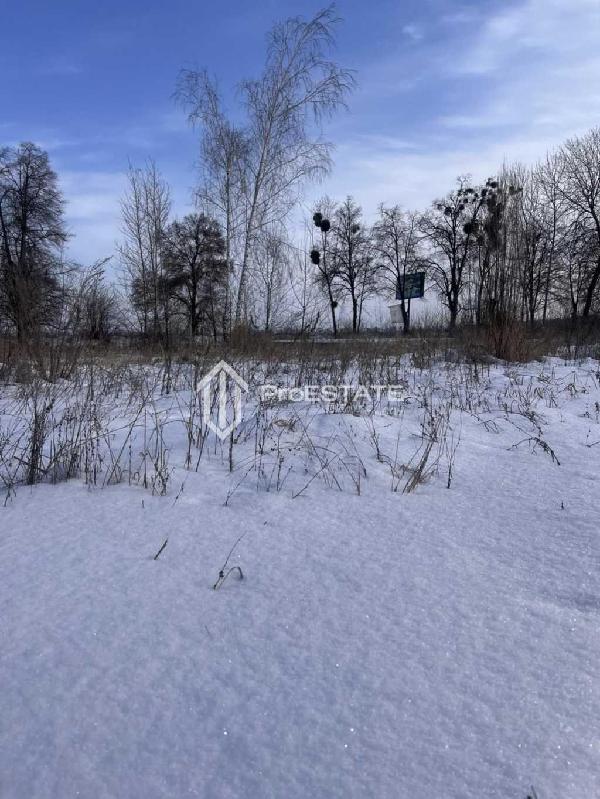 земля продам село Гнідин, фото 8 з 20