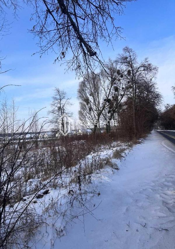 земля продам село Гнідин, фото 9 з 20