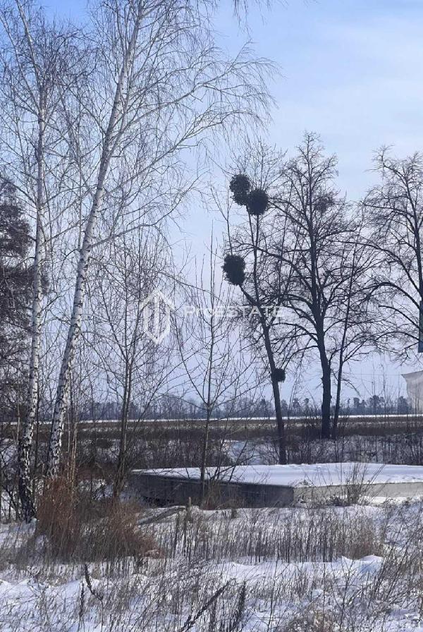 земля продам село Гнідин, фото 10 з 20