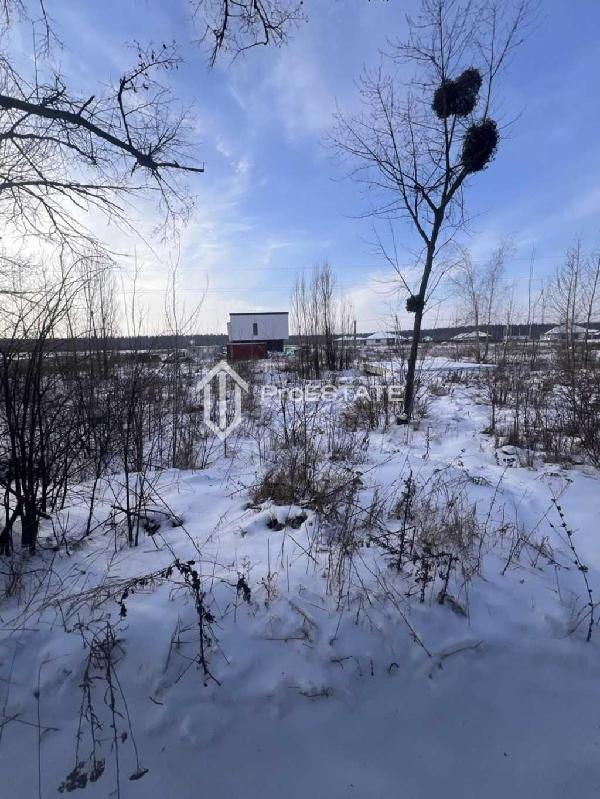 земля продам село Гнідин, фото 11 з 20