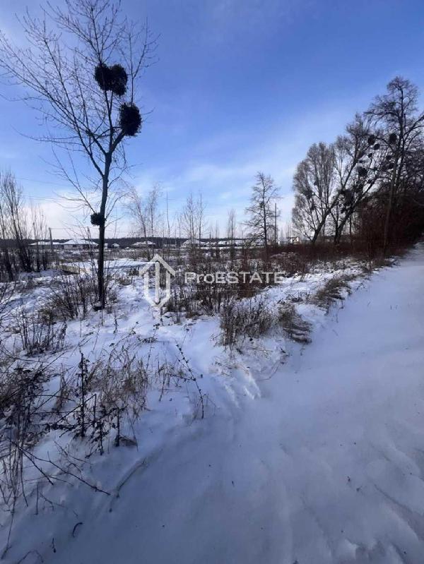 земля продам село Гнідин, фото 14 з 20