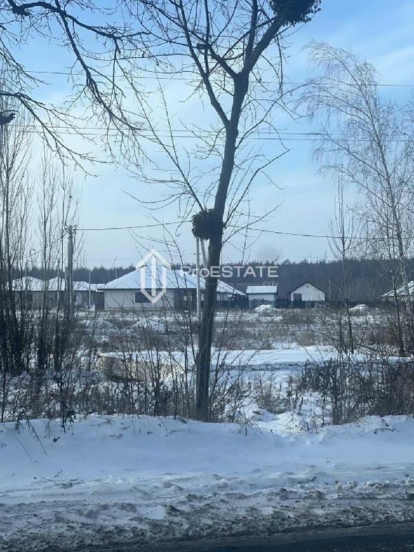 земля продам село Гнідин, фото 16 з 20